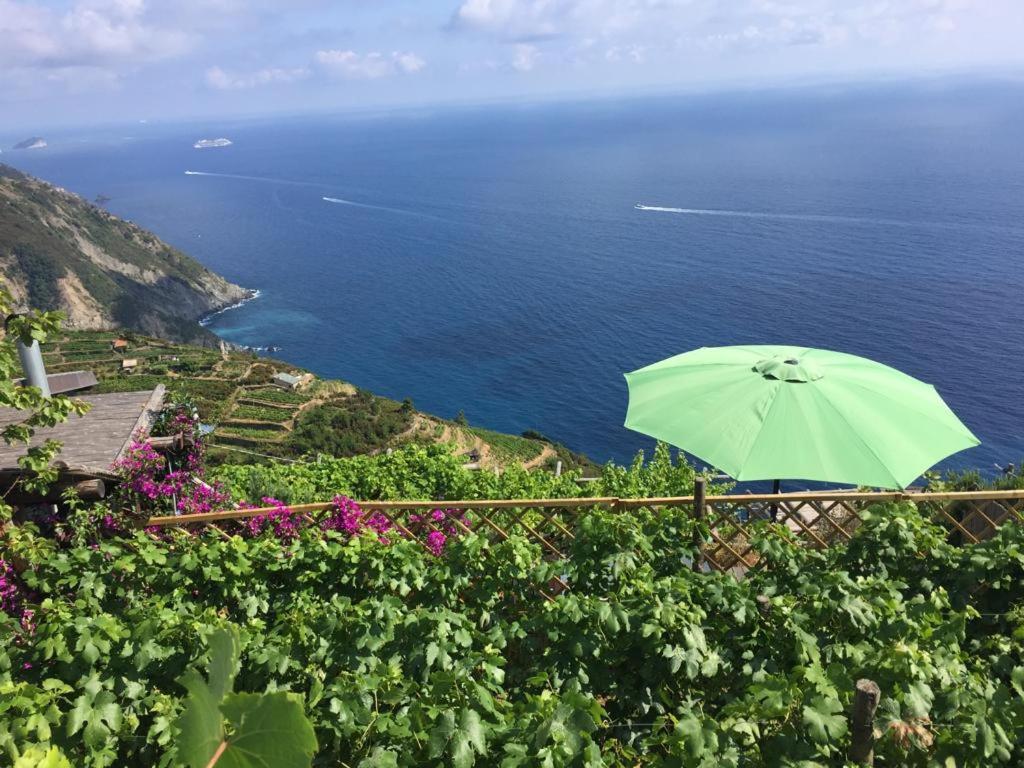 里奥马哲雷Refuge Uwabio Organic Vineyard Cinqueterre别墅 外观 照片