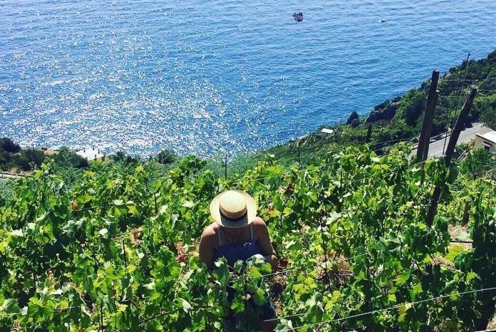 里奥马哲雷Refuge Uwabio Organic Vineyard Cinqueterre别墅 外观 照片