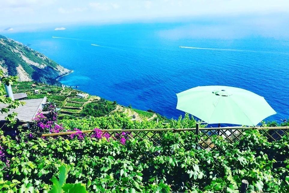 里奥马哲雷Refuge Uwabio Organic Vineyard Cinqueterre别墅 外观 照片